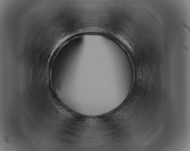 X0000092051364200710101008