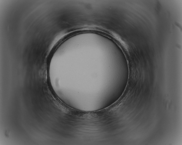 X0000092051368200710101008