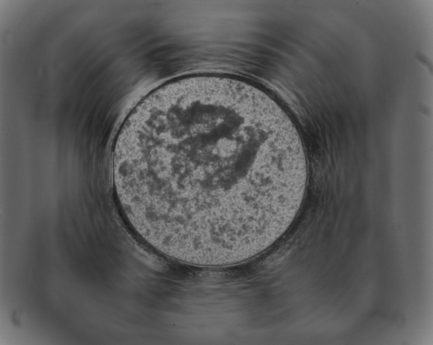 X0000092051371200710101008