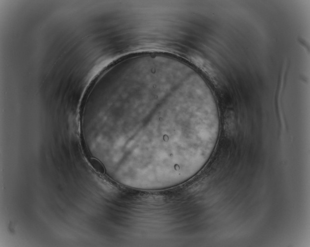 X0000092051372200710101008