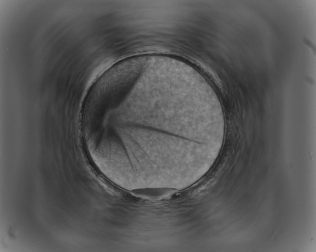 X0000092051373200710101008