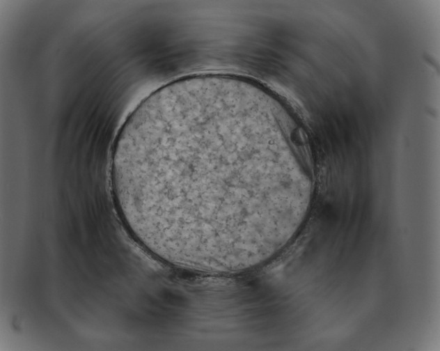 X0000092051374200710101008