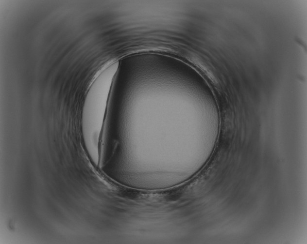 X0000092051377200710101008