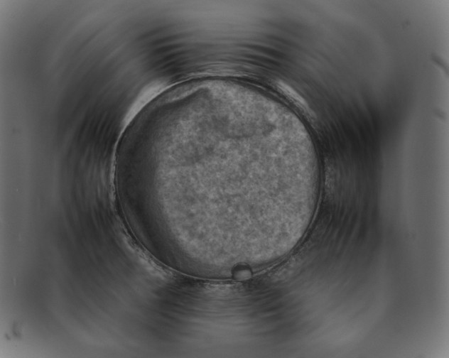 X0000092051378200710101008