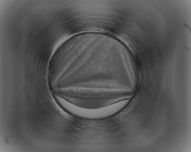 X0000092051379200710101008