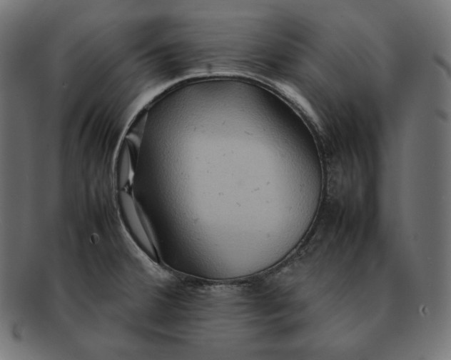 X0000092051380200710101008