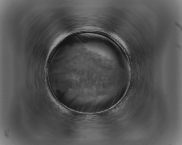 X0000092051381200710101008