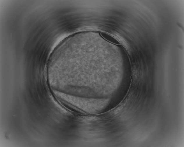 X0000092051382200710101008