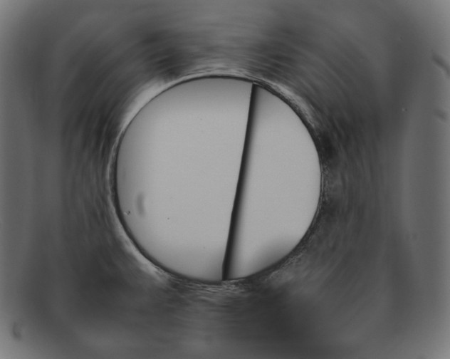 X0000092051383200710101008