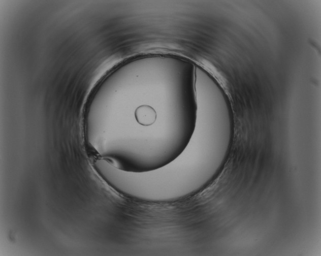 X0000092051384200710101008