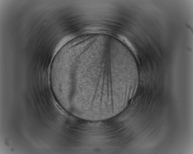 X0000092051386200710101008