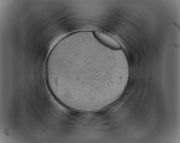 X0000092051387200710101008