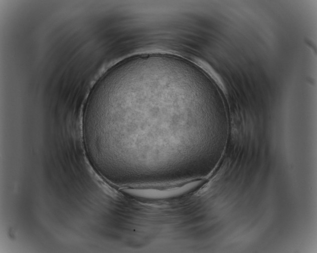 X0000092051388200710101008