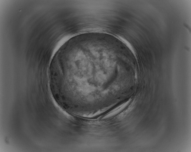 X0000092051389200710101008