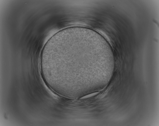 X0000092051391200710101008