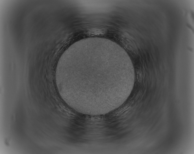 X0000092051393200710101007