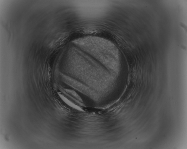 X0000092051394200710101007