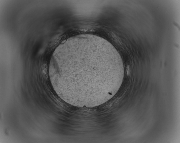 X0000092051396200710101007