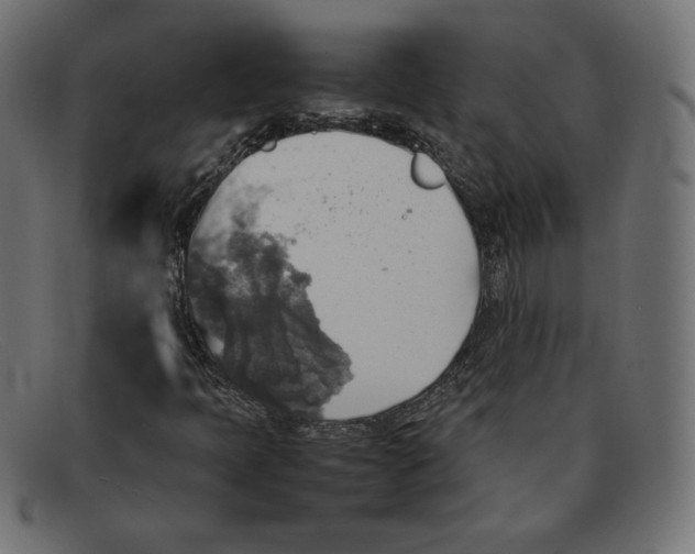 X0000092051397200710101007