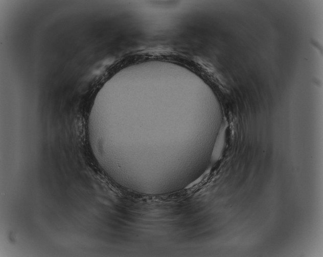 X0000092051398200710101007