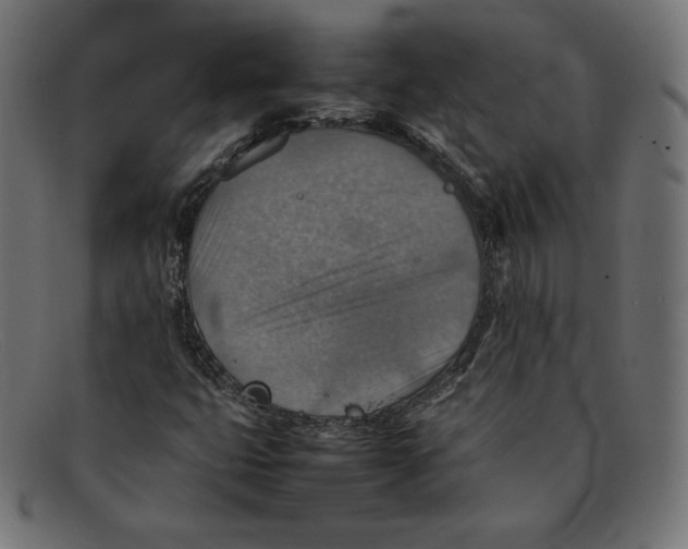 X0000092051399200710101007