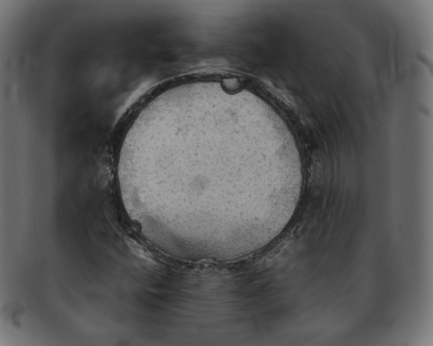 X0000092051400200710101007