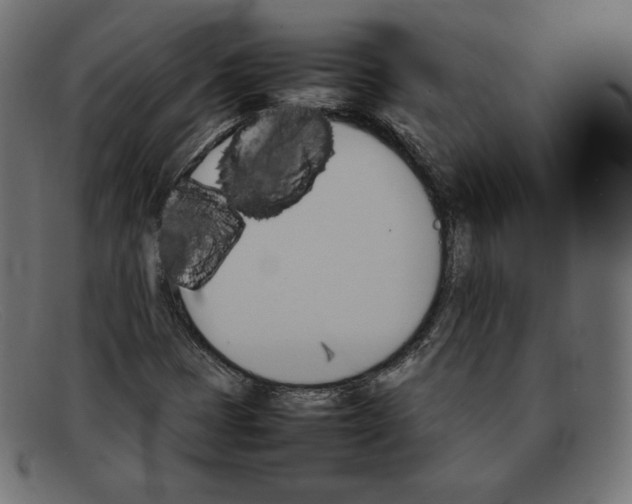 X0000092051401200710101007