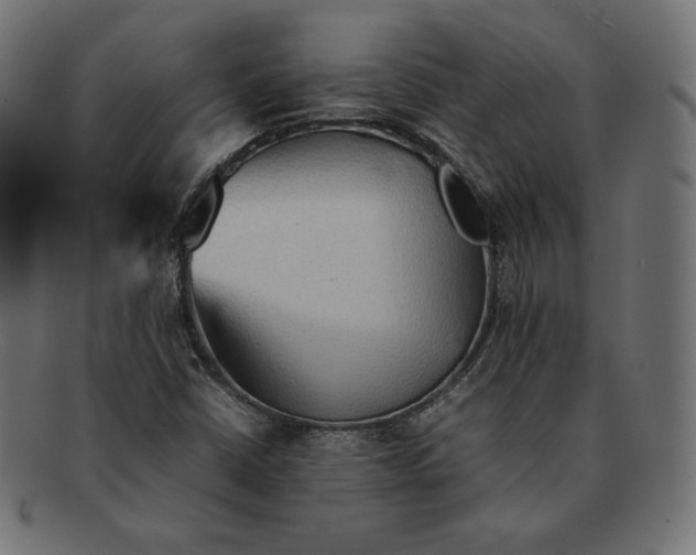 X0000092051402200710101007