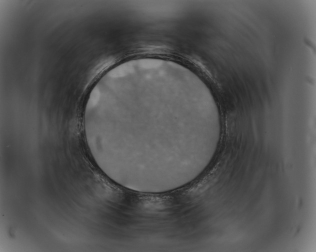 X0000092051405200710101007