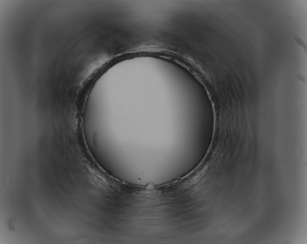 X0000092051406200710101007