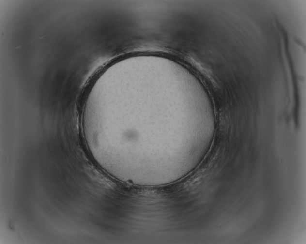 X0000092051408200710101007