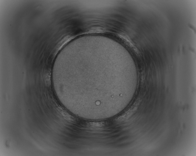 X0000092051409200710101007