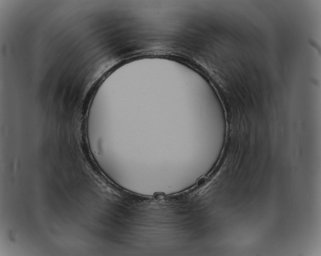 X0000092051410200710101007