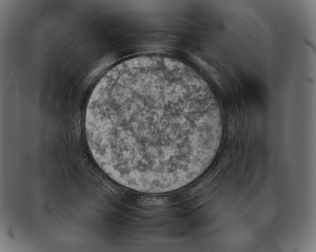 X0000092051411200710101007