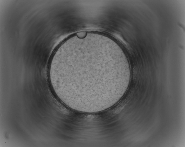 X0000092051412200710101007