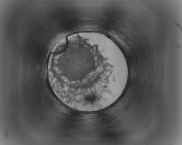 X0000092051413200710101007