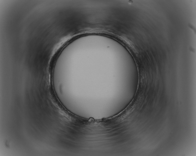 X0000092051414200710101007