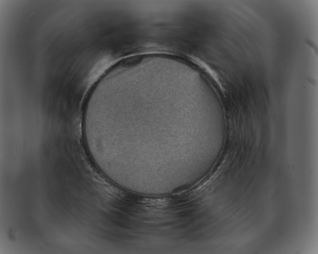 X0000092051415200710101007