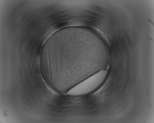 X0000092051417200710101007