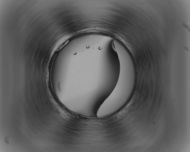 X0000092051418200710101007