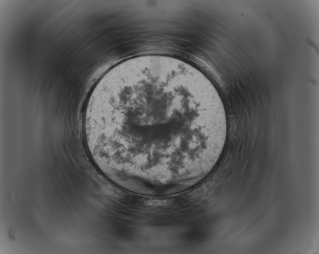 X0000092051419200710101007