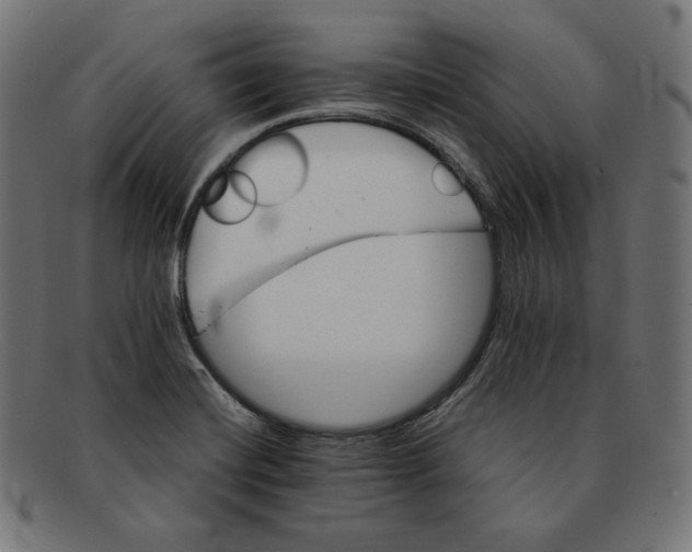 X0000092051420200710101007