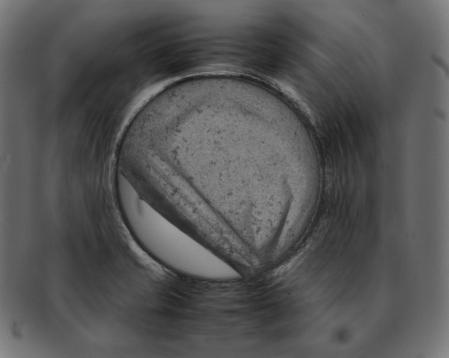 X0000092051421200710101007