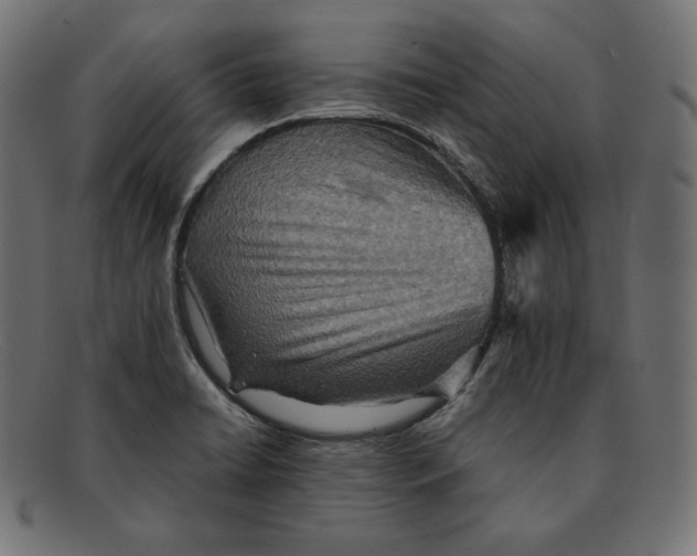 X0000092051422200710101007