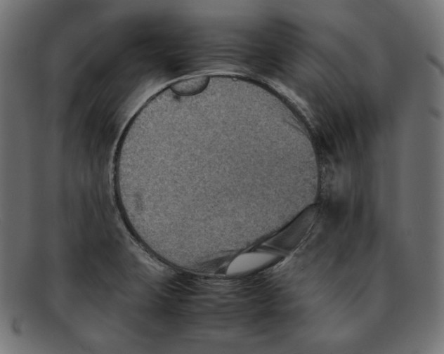 X0000092051423200710101007