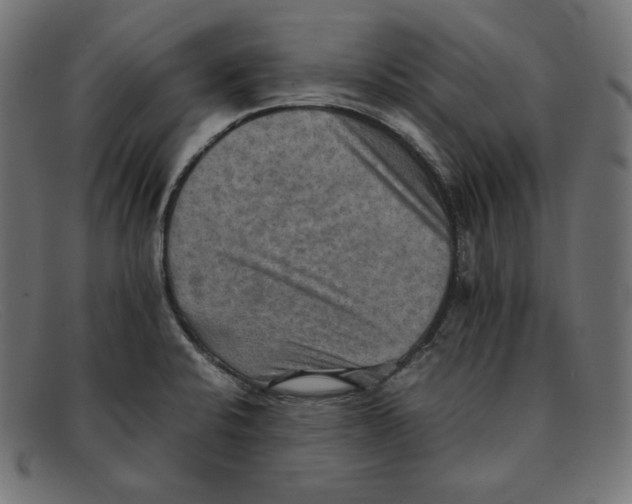 X0000092051424200710101007