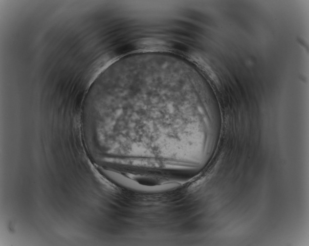 X0000092051425200710101007