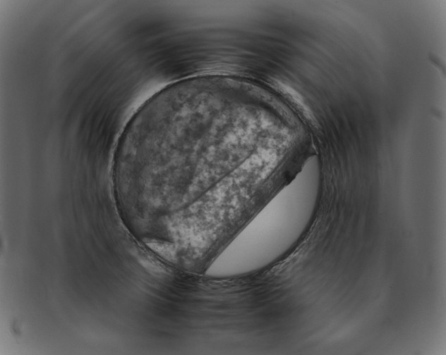 X0000092051427200710101007