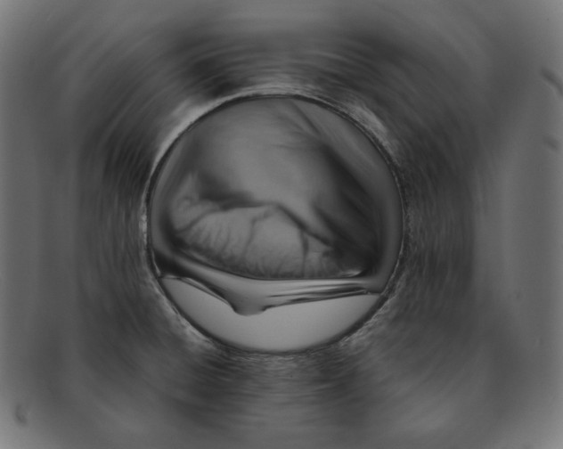 X0000092051428200710101007