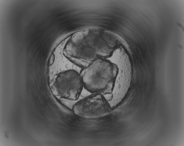 X0000092051429200710101007